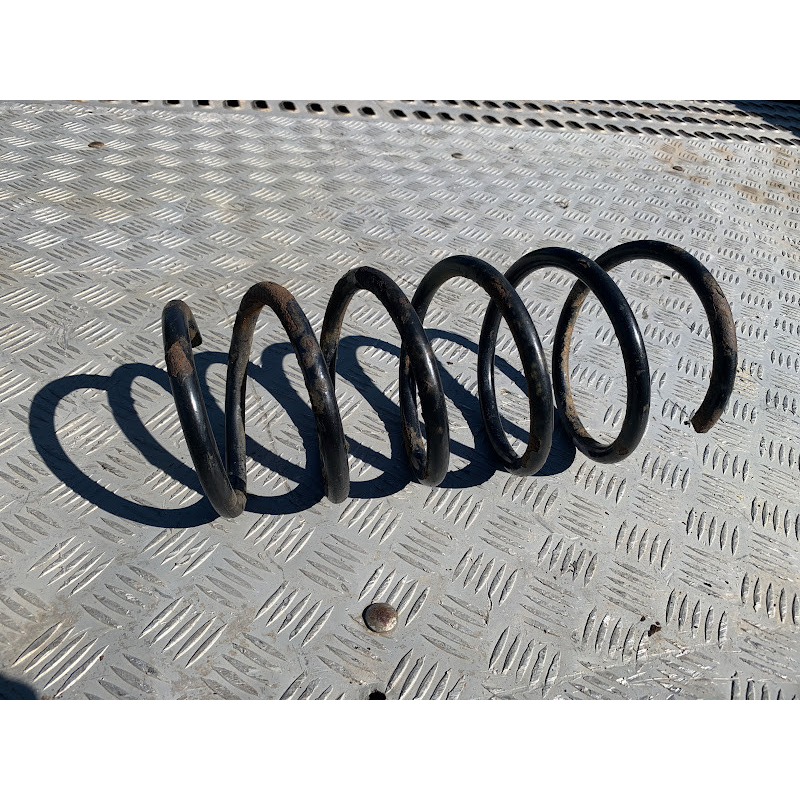 Пружина передня Renault Scenic 1 Пружина передня Renault Scenic 1